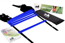 Reehut Agility Ladder w/ FREE USER E-BOOK + CARRY BAG – Speed Training Equipment (Blue, 8  ...