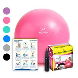 Exercise Ball – Professional Grade Anti-Burst Yoga Fitness, Balance Ball for Pilates, Yoga ...