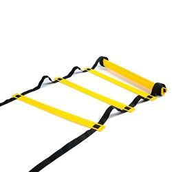 Physport Speed Ladder Soccer Training Agility Ladder with Carry Case Sport Tool (8-Rung)