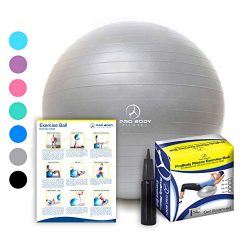 Exercise Ball – Professional Grade Anti-Burst Fitness, Balance Ball for Pilates, Yoga, Bir ...