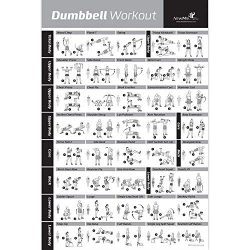 Dumbbell Workout Exercise Poster – NOW LAMINATED – Strength Training Chart – B ...
